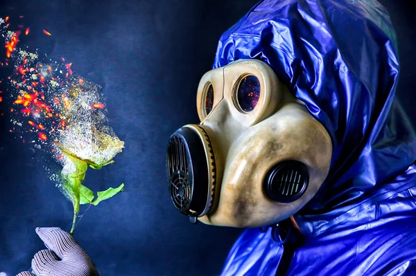 Hombre Con Máscara Gas Sosteniendo Una Flor Ardiendo Influencia Radiación —  Fotos de Stock