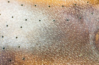 koyu kahverengi deri arka plan dokusu