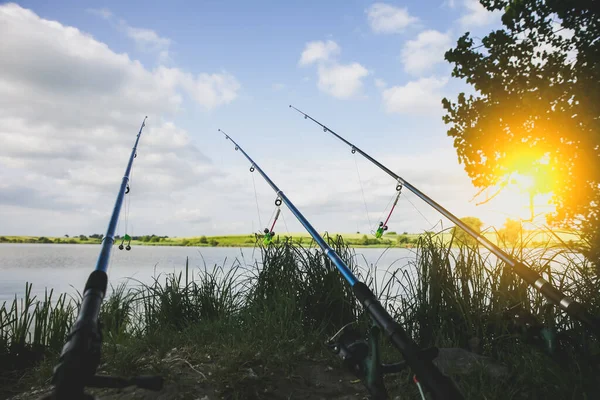 Fishing Rods Lake Hobby Outdoors Catching Fish Nature Poles — Stockfoto