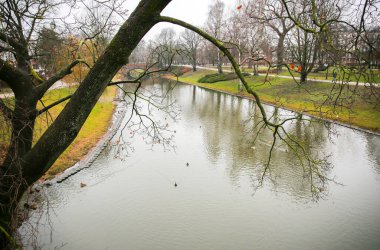 Sonbaharda çıplak ağaçlarla park et. Nehirli şehirde kış doğası.