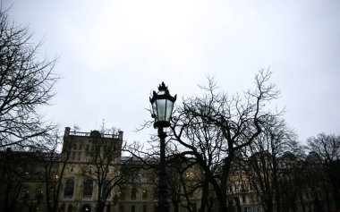 Çıplak ağaçların siyah dalları ve eski fenerler. Riga şehrinin gizemli resmi.