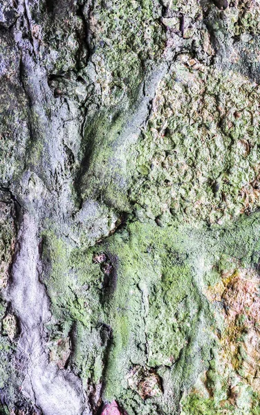 Oude Stenen Met Mos Textuur Achtergrond — Stockfoto