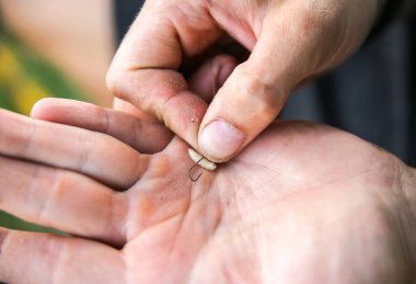 Adam oltaya kurtçuk takıyor. Açık havada balık tutmak. Doğadaki hobi.