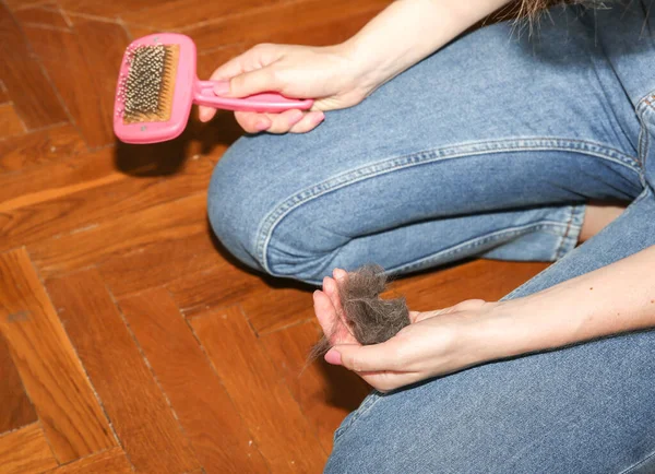 Mujer Cepilló Gato Aseo Mascotas Mudanza Piel —  Fotos de Stock