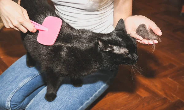 Mujer Está Cepillando Gato Negro Aseo Mascotas Mudanza Piel Animal —  Fotos de Stock