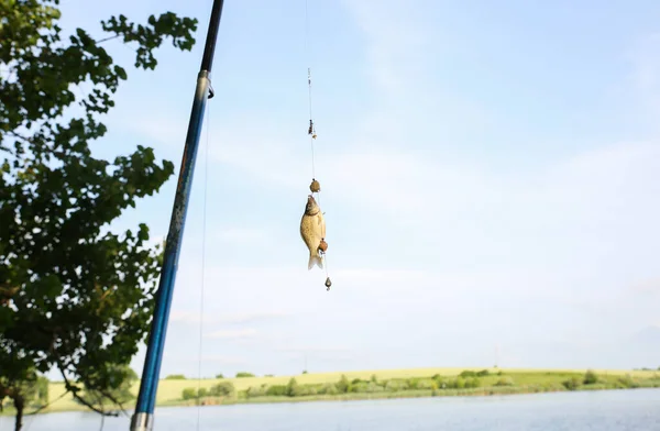 Man Catching Fish Rods Lake Hobby Outdoors — Fotografia de Stock