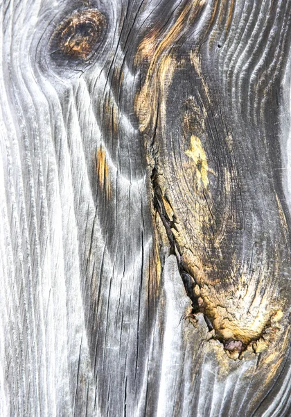 야외에서의 거무스름 — 스톡 사진