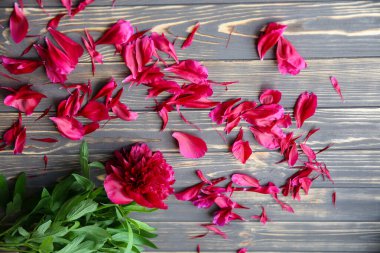 Ahşap arka planda güzel çiçekler. Şakayık buketi. Taç yapraklarıyla mükemmel bir düzlük. Annemin tatil kartpostalı kutlu olsun. Uluslararası Kadınlar Günü selamı. Reklam veya tanıtım için şık bir fikir.