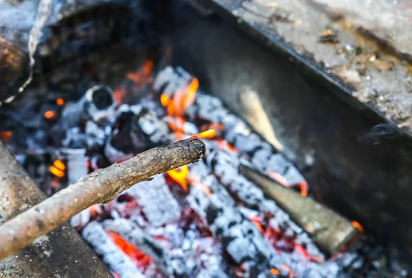 Огонь Горит Дерева Настоящее Пламя Место Барбекю Экологическое Природное Топливо — стоковое фото