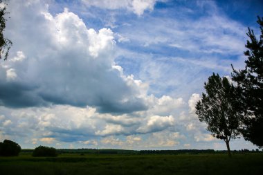 Beautiful landscape. Clouds in the sky and a tree on the field. Amazing wallpaper with nature.