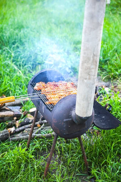 Chicken Grill Outdoors Barbecue Fire Summer Good Time Cooking Meat — Stock fotografie