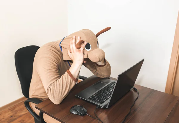 Office worker in cosplay costume of a cow. Guy in the funny animal pyjamas sleepwear near the laptop. Parody on desperate manager. Occupational burnout.