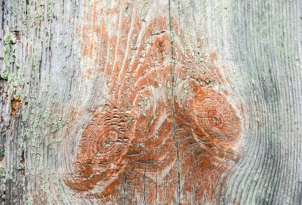 Старая Деревянная Фактура Царапает Задний План Винтажная Шероховатая Поверхность — стоковое фото