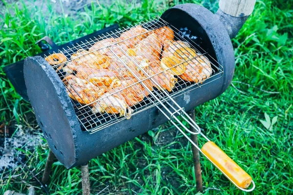 Chicken Grill Outdoors Barbecue Fire Summer Good Time Cooking Meat — Stock fotografie