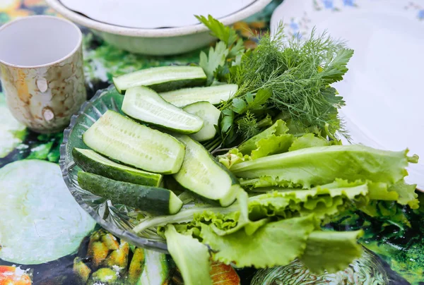 Vegetables Garden Plate Cucumbers Lettuce Parsley Dill Weed Vegan Food — Photo