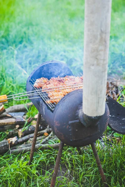 Chicken Grill Outdoors Barbecue Fire Summer Good Time Cooking Meat — Fotografia de Stock