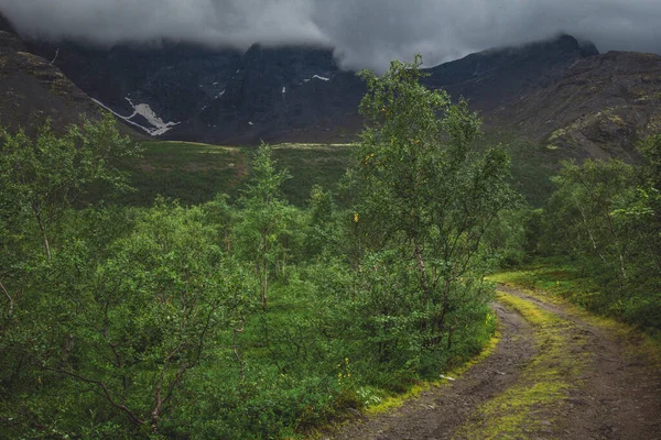 Russland Gebiet Murmansk Die Natur Der Khibiny Berge Sommer — Stockfoto