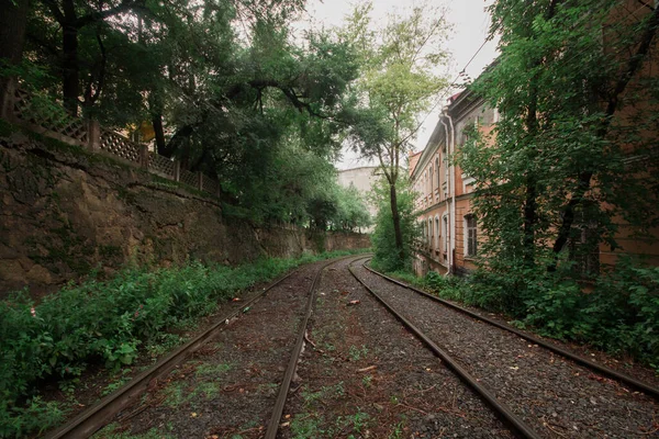 Straßenbahn Natürlichen Lebensraum Sommer Russland — Stockfoto