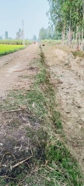 Tarım arazisinde güzel doğa keşfi 