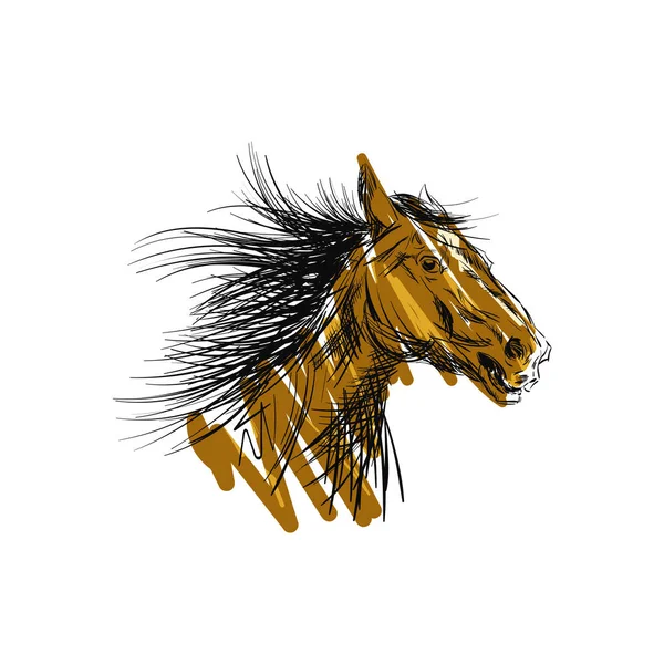 Hand Drawn Head Horse Running Art Sketch Design Vector Illustration — Stock Vector