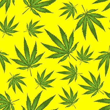 Kusursuz desenli, gerçekçi kenevir yaprakları, marihuana, sarı arka planda haşhaş. Esrar yaprakları.