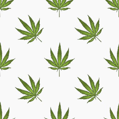 Kenevir yaprağı yapraklarıyla kusursuz desen. Esrar bitkisinin arka planı. El çizimi stili. Vektör illüstrasyonu