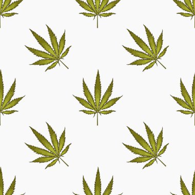 Kenevir yaprağı yapraklarıyla kusursuz desen. Esrar bitkisinin arka planı. El çizimi stili. Vektör illüstrasyonu
