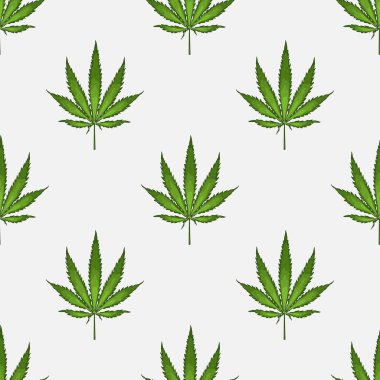Kenevir yaprağı yapraklarıyla kusursuz desen. Esrar bitkisinin arka planı. El çizimi stili. Vektör