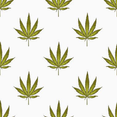 Kenevir yaprağı yapraklarıyla kusursuz desen. Esrar bitkisinin arka planı. El çizimi stili. Vektör