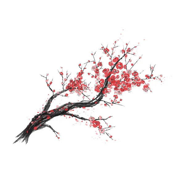 Realistische Sakura Blüte Japanischer Kirschbaum Isoliert Auf Weißem Hintergrund Künstlerische — Stockvektor