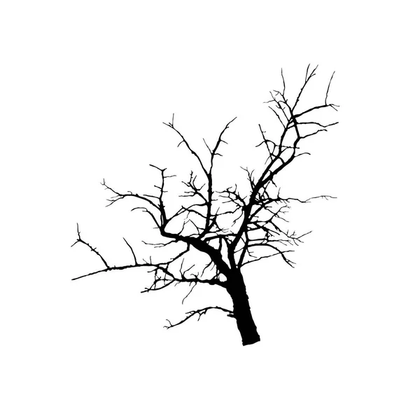 Bare branch silhouette isolated. Close up of tree fragment. Vector — Stock Vector