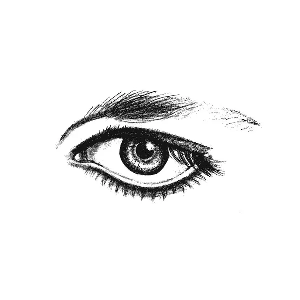 Realistic expressive eye isolate on a white background. Fashion sketch. Vector — Stock Vector