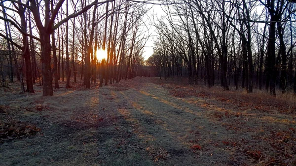 Donetsk 'te sonbahar oranları