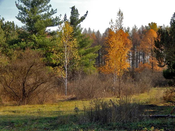 Donetsk 'te sonbahar oranları