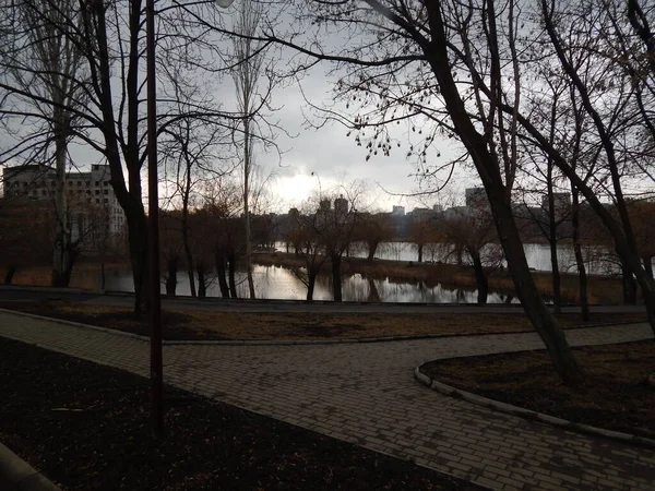 Donetsk 'te sonbahar oranları