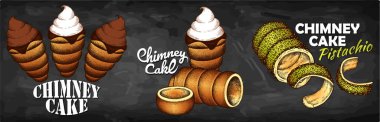 Karatahtaya çikolatalı, fıstıklı, dondurmalı, çırpılmış kremalı logo çizimi. El çizimi trdelnik menüsü. Çek usulü tatlı sokak yemekleri, Vektör illüstrasyonu.