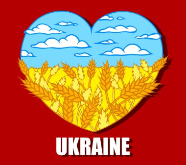 Kalp şeklinde, mavi gökyüzü ve kırmızı arka planda sarı buğday şekilli Ukrayna posteri. Çizim alanı, Ukrayna ulusal bayrağı, sevgi ve barış, sanat vatansever kartı. Vektör illüstrasyonu.