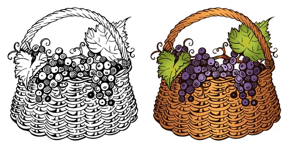 蓝色葡萄的素描图案 绿色叶子 篮子中 白色背景隔离 系列酒水水果 雕刻多汁的葡萄浆果 设计元素酒精饮料 矢量说明 — 图库矢量图片
