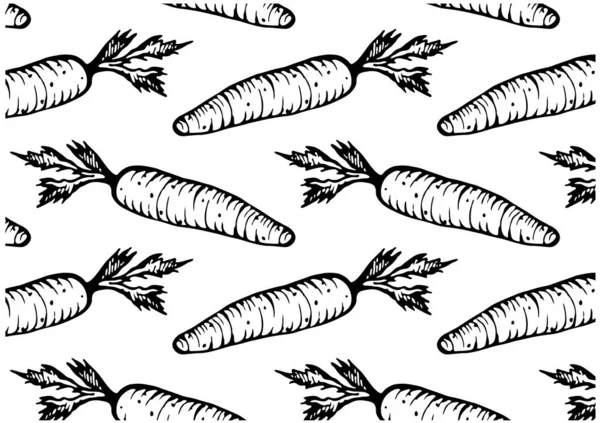 Sketch Drawing Pattern Engraved Carrot Isolated White Background Hand Drawn — Stockový vektor
