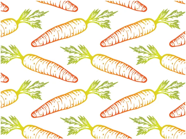 Візерунок Ескізу Апельсинової Моркви Ізольований Білому Тлі Рука Намальована Реалістичними — стоковий вектор