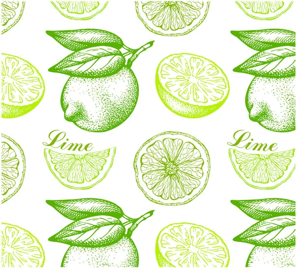 Sketch Hand Drawn Pattern Lime Green Leaves Isolated White Background — Stock Vector