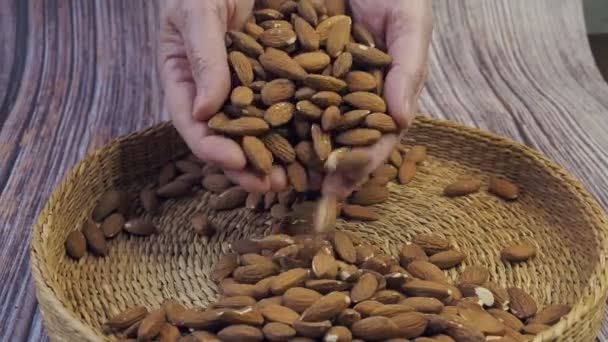 Bir Avuç Dolusu Badem Tutan Eller Prunus Dulcis Yenilebilir Tohumları — Stok video