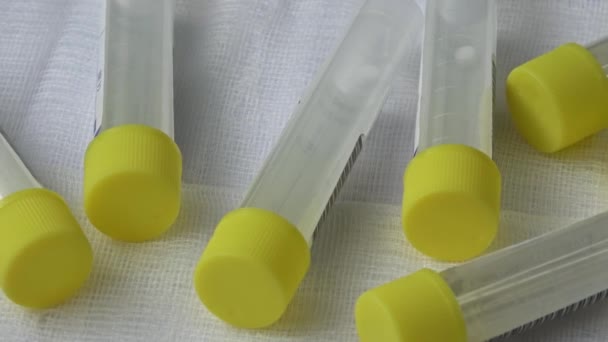 Medical Sample Tubes Colorful Caps Different Tests Isolated White Background — Stock Video