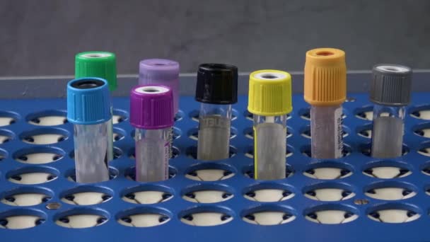 Tabung Tes Plastik Dengan Tutup Untuk Koleksi Sampel Obat Modern — Stok Video