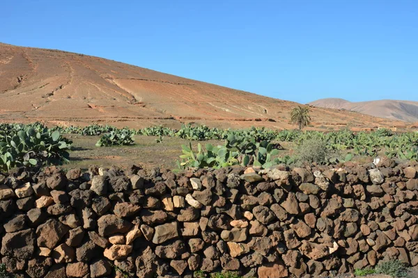 Vista Del Paisaje Montañoso Fuerteventura Islas Canarias España —  Fotos de Stock