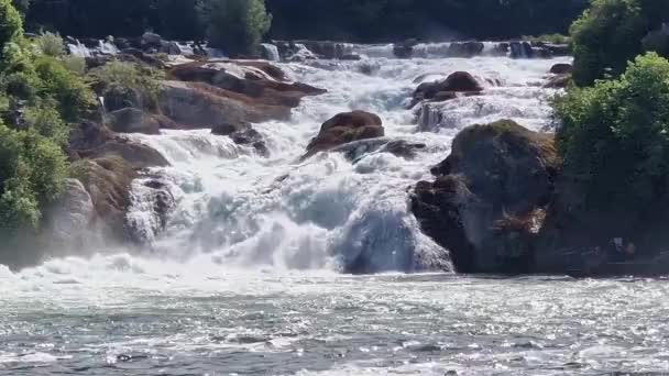 Utsikt Över Rhen Fall Rheinfalls Den Berömda Rhine Faller Schweiziska — Stockvideo