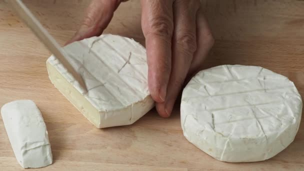 Manos Cortando Queso Camembert Producto Granja — Vídeos de Stock