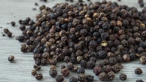 Peppercorns Black Pepper Plant Piper Nigrum — Videoclip de stoc