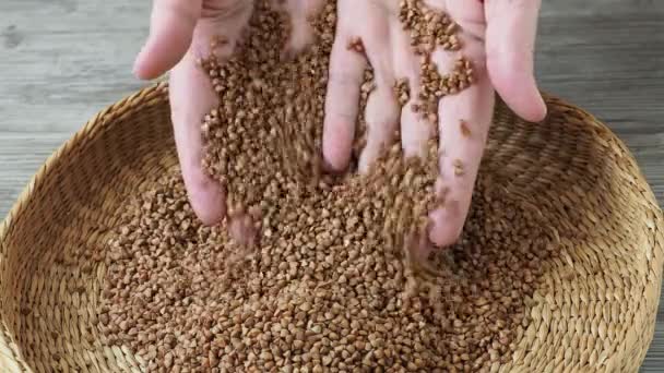 Hulled Common Buckwheat Grains Fagopyrum Esculentum Dried Seeds — Vídeo de Stock