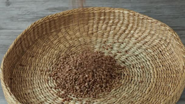 Hulled Common Buckwheat Grains Fagopyrum Esculentum Dried Seeds — Vídeo de stock